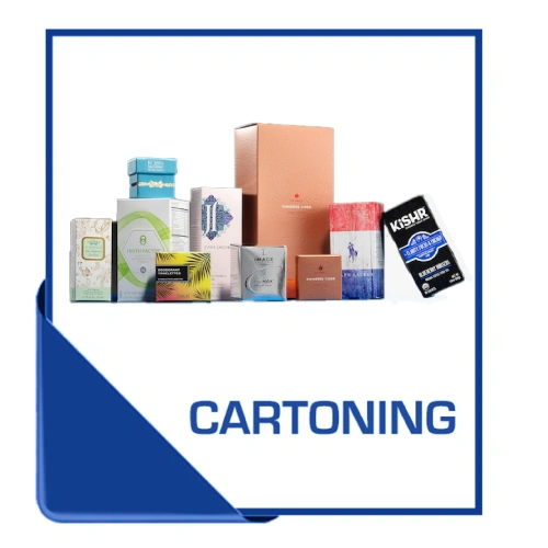 Continuous motion cartoning machine